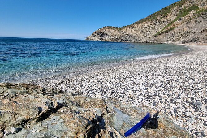 Wild Beaches & Snorkeling Tour - What the marine biologist adds to the snorkeling experience